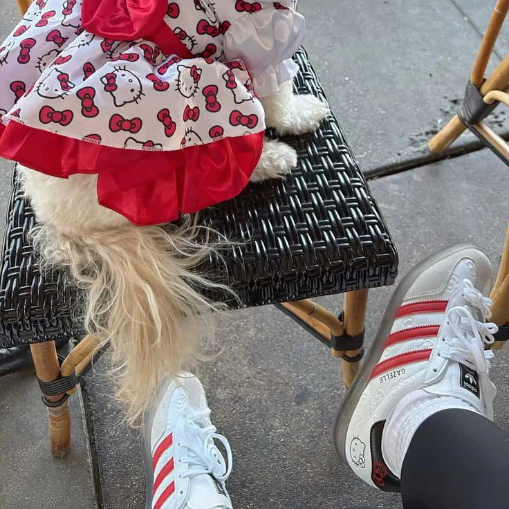 Gazelle Indoor Hello Kitty